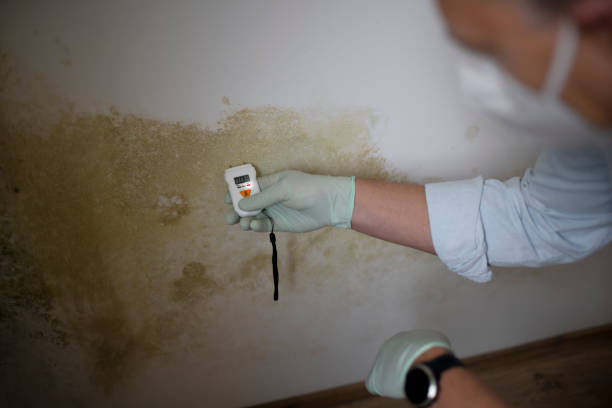 Best Mold Cleaning Services  in Oakfield, WI